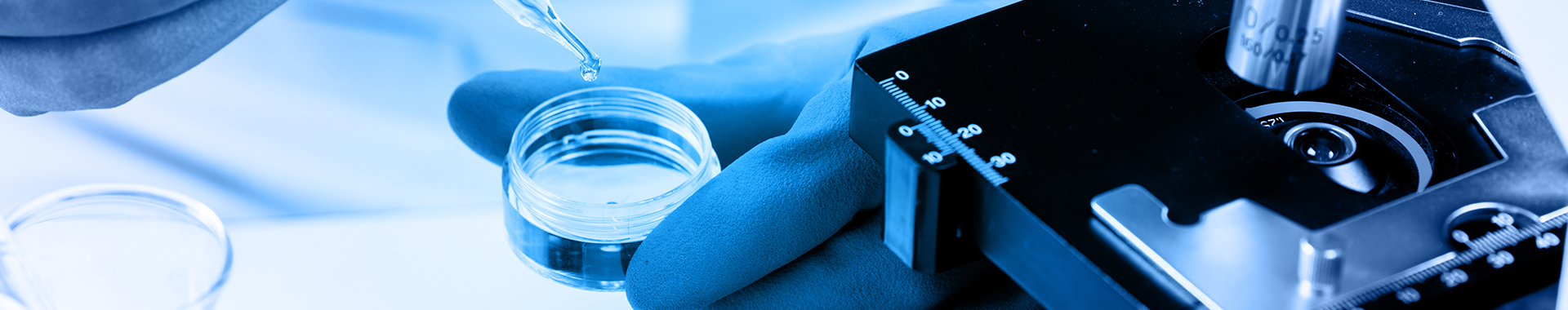 Chemical process optimization